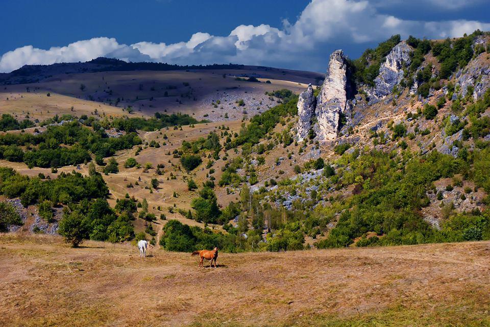 Apartments Stari Jasen Uvac Sjenica Bagian luar foto